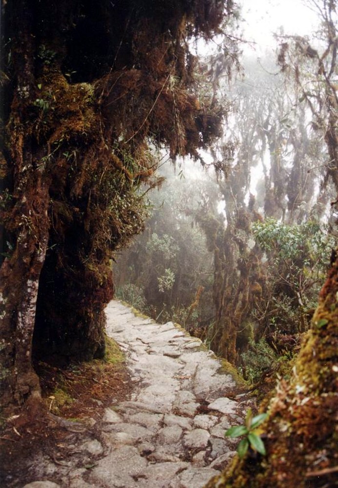 Camino Inca a Machu Picchu en Cusco